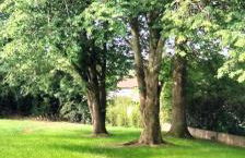 Maison familiale au calme - Foto 4