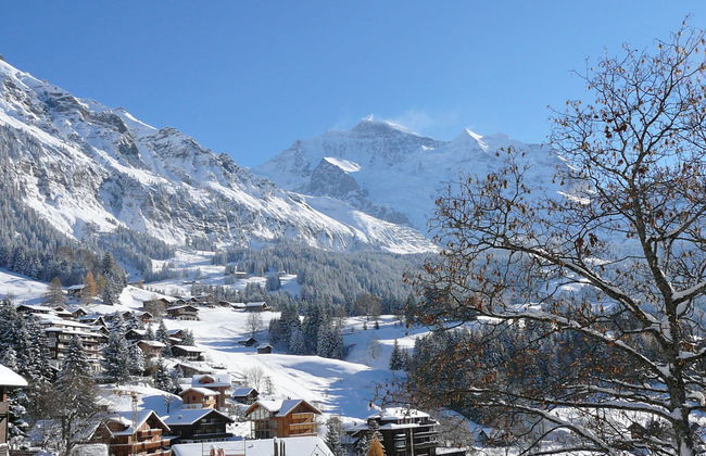 Mittaghorn Apt.8 - Foto 28