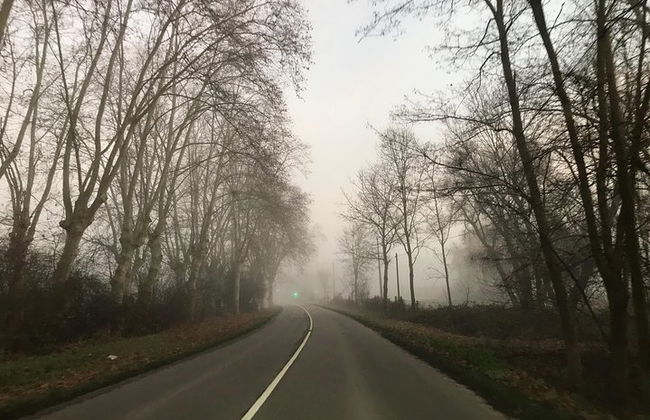 Vehículo de transporte privado con conductor Estrasburgo <=> Erstein - Foto 5