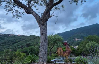 Casa Gardan - Foto 15