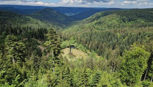 Ferienwohnungen Nordschwarzwald - Photo 4