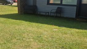 The Lucky 7 - Foto 2, Garden view