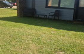 The Lucky 7 - Photo 2