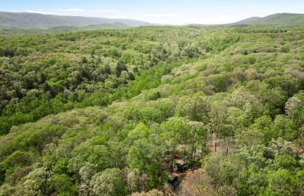 Tiny Cabin w Fire Pit Game Room and Dog Friendly - Foto 50