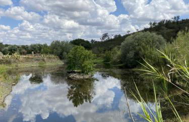 Corvatos Casas do Monte - Foto 45
