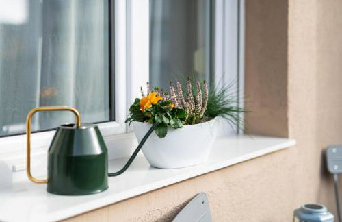 Studio apartman Kvaternik - Photo 20