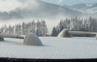 Houten Villa "ReisnaarPolen" Royaal ontbijt tevens Gluten Lactose vrij, Vega en diner mogelijk, sauna en Hottub - Foto 56
