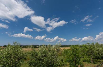 Villa Saini with Sea View - Photo 43