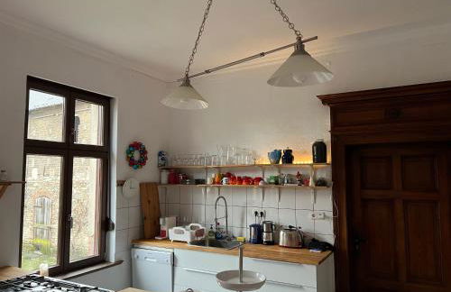 Hübscher Wohnen-Geräumige Ferienwohnung im Gutshaus nahe Saale und Elbe - Foto 2