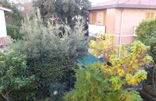 il geranio - Foto 42