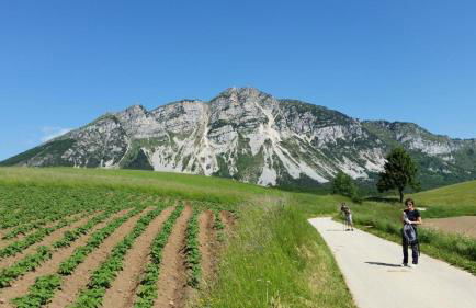 Appartamento vacanze Bordala - Foto 12