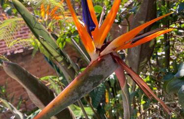 Sítio N#1 da Serra Perfeito para famílias com bebês e crianças Piscina aquecida e limpeza incluídos - Foto 33