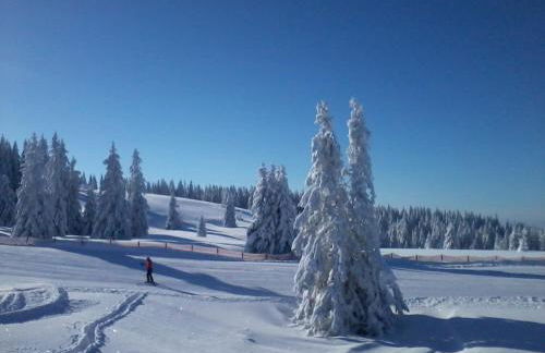 Ferienwohnung Seeblick Nr 3, 2 Zi-Bärental, Feldberg - Foto 24