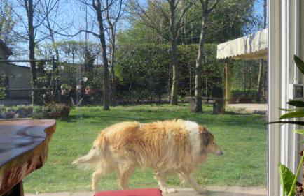 Agriturismo L'Albara - Wines, Pool & SPA - Foto 44