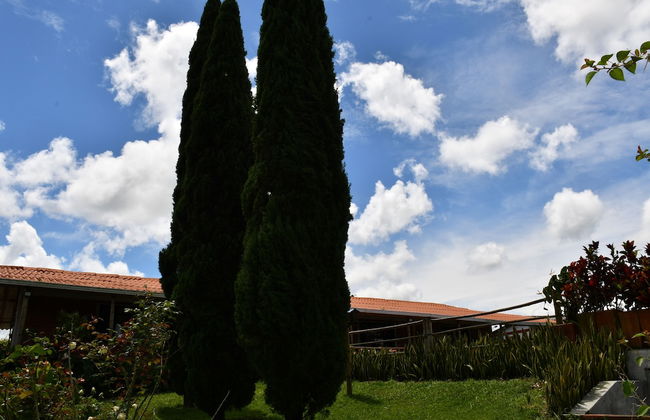 Finca El diamante - Alojamiento Rural - Foto 41