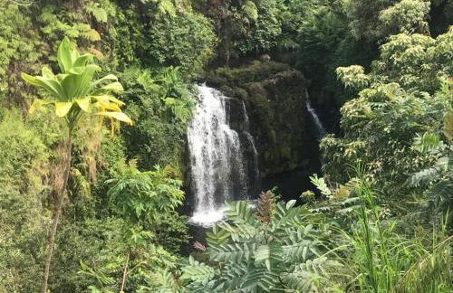 Ohana Beach Retreat at the Surf and Racquet Club - Foto 50