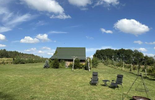 Cicha Kolonia Krupicka - Foto 6