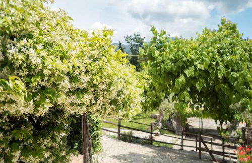 Villa de Luccheri - Foto 47