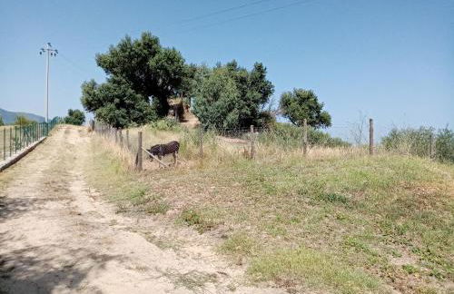 Agriturismo Mama Lina - Foto 41