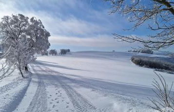 Landhaus Gnacke - Foto 67