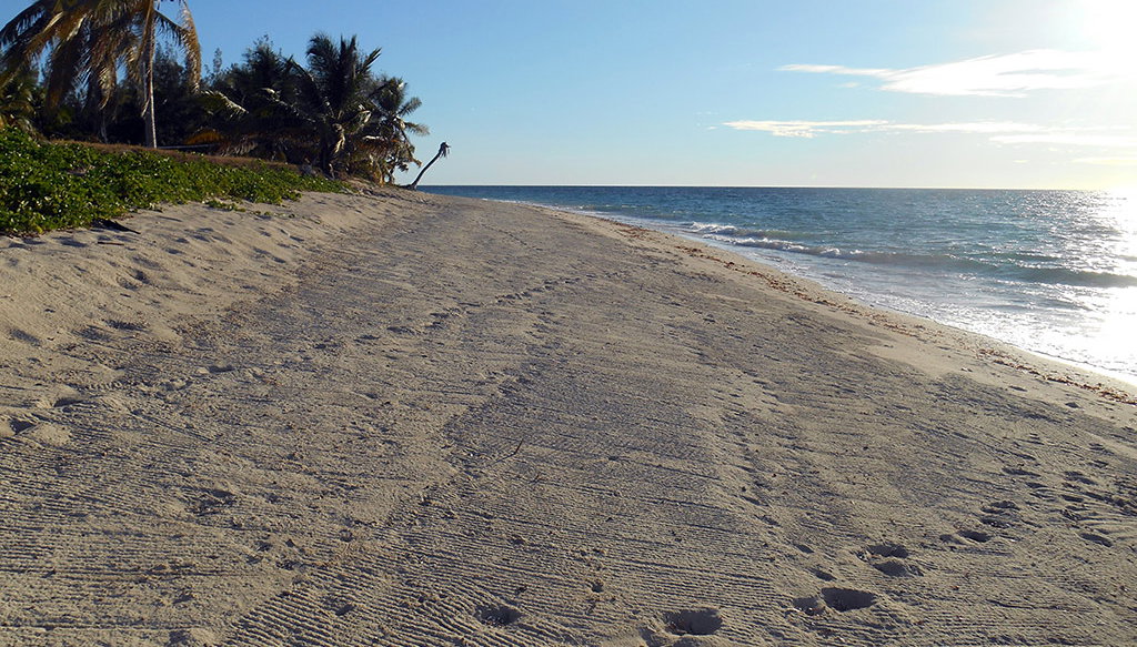 Sakatia Island - Photo 1