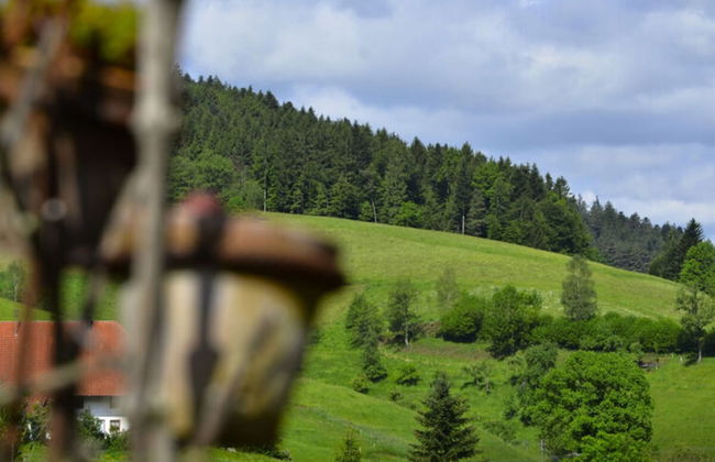 Holiday Apartment Hohe Stein - Foto 32