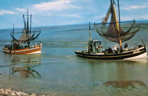 Nordseeferienhaus-Alma - Foto 12