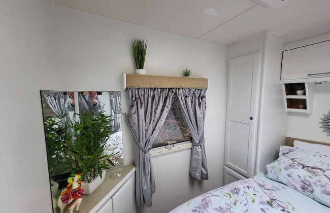 Glamping With Llamas - Foto 30