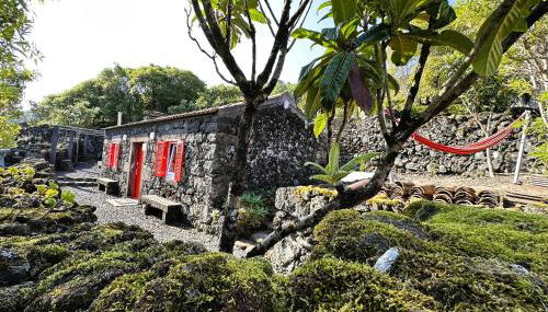 Adega Baía Azul - The essence of Pico - Photo 4