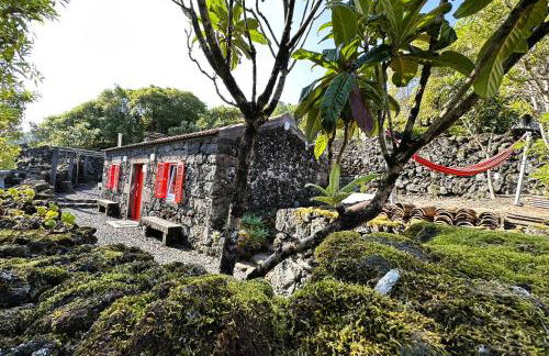 Adega Baía Azul - The essence of Pico - Photo 4