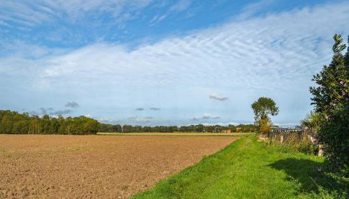 Atmospheric - Foto 5