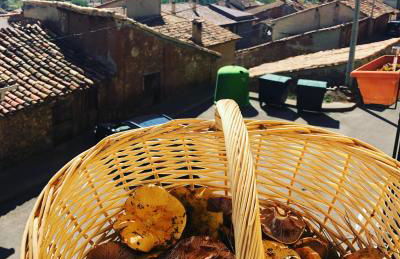 SKI & NATURE JAVALAMBRE - Foto 42