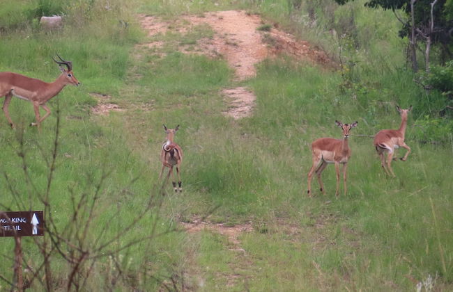 AtNature Luxury Self Catering Cottages - Photo 49