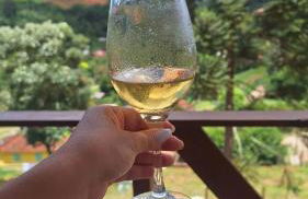 Chalé Sonho Diniz 3 - Foto 45