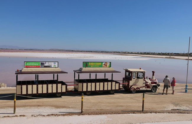 Torrevieja Rent 007 - Foto 37