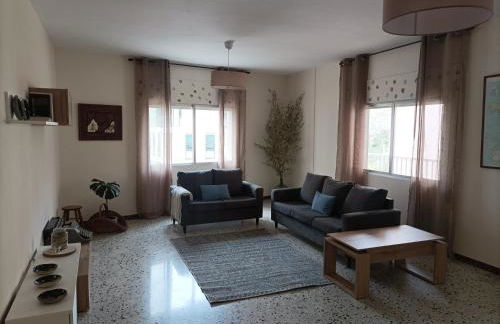 Dona Branca - Foto 12