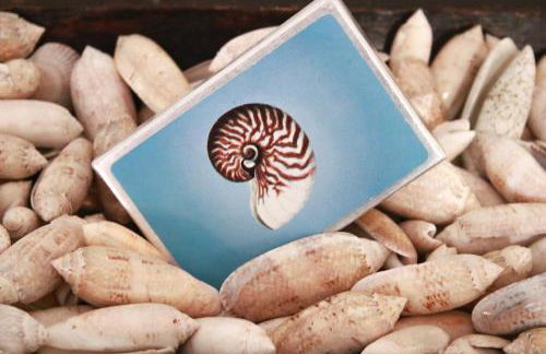 Chateau Mariposa - Foto 26