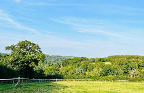 1 Bedroom Holiday let in the Heart of West Wales - Foto 12