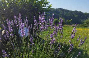 Private Villa with Pool and Jacuzzi Dreamy Hill - Foto 35