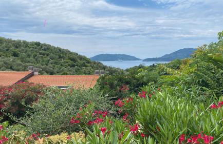 Oasi Verde 1 - Photo 2