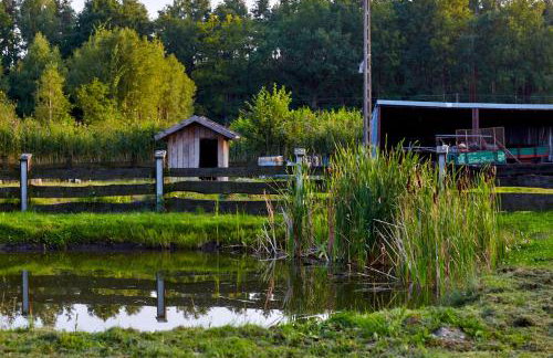 Rancho Colorado - Foto 33