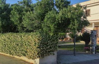 La casa del sole (arcomagno San Nicola Arcella) - Foto 15