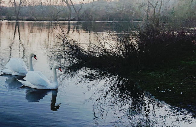 Charming 17th Century 2-bed Cottage in Medmenham - Foto 12