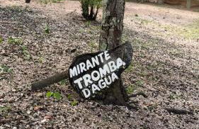 Residência Sol e Lar - Foto 15