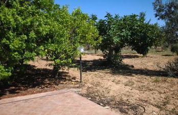 Cascina Vittorio, Relax in campagna con barbecue vicino Gallipoli - Foto 65