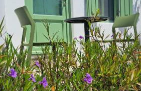 Spice Suites-Lime - Foto 16