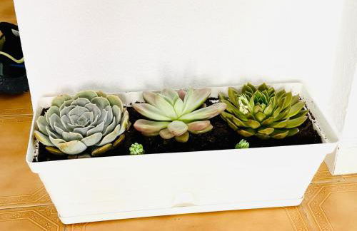 Apartamento Centro Torremolinos con Solarium - Foto 27