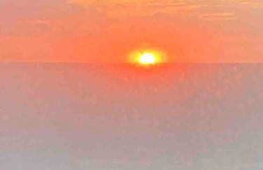 les Albatros - Foto 12