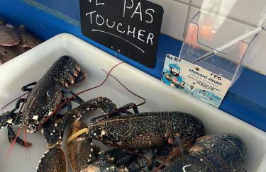 Maison de pêcheur vue mer exceptionnelle - Foto 13