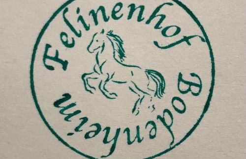 Ferienwohnung Felinenhof - Foto 9